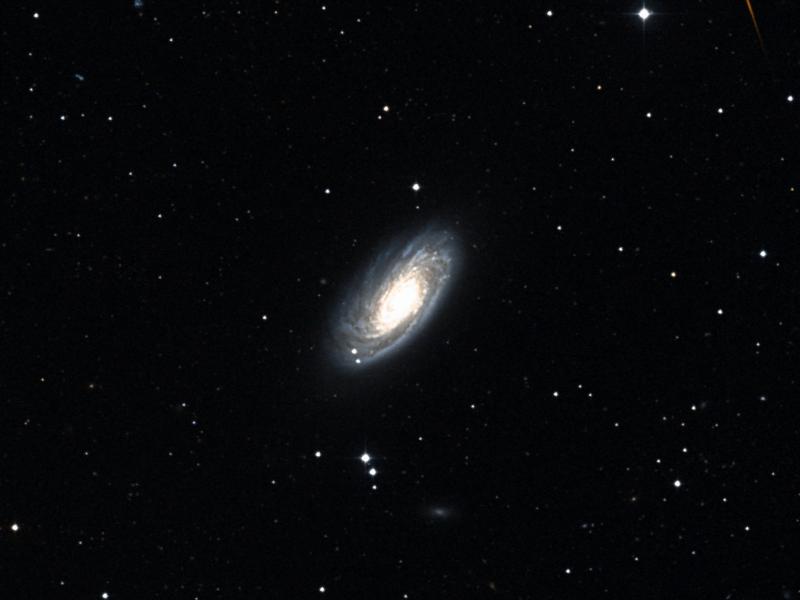 M 88