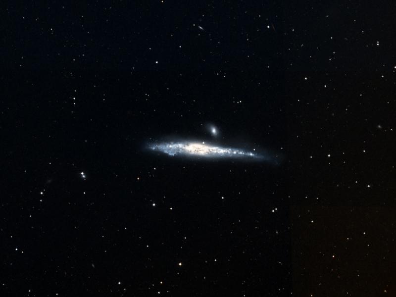 NGC 4631