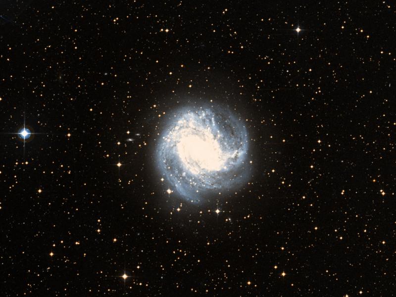 M 83