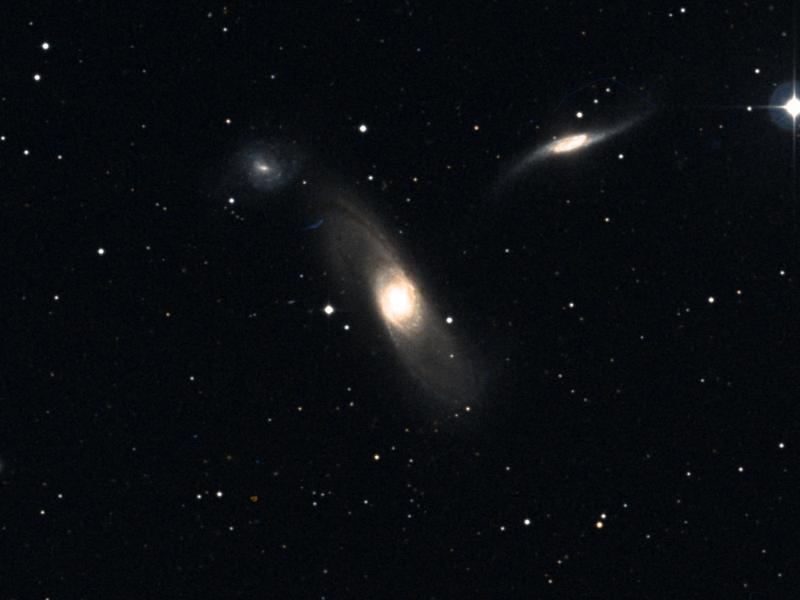 NGC 5566