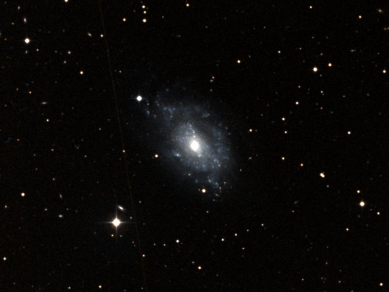 NGC 5585