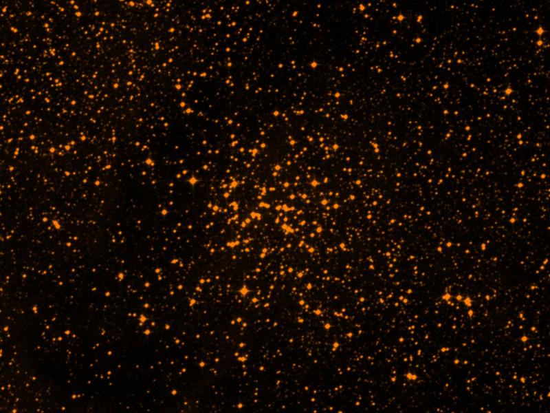 NGC 6134