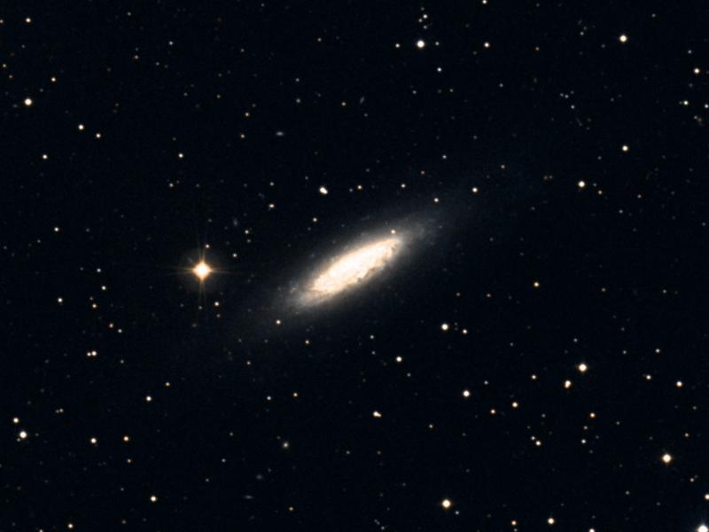 NGC 6503