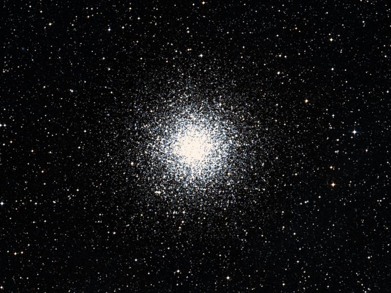 M 55