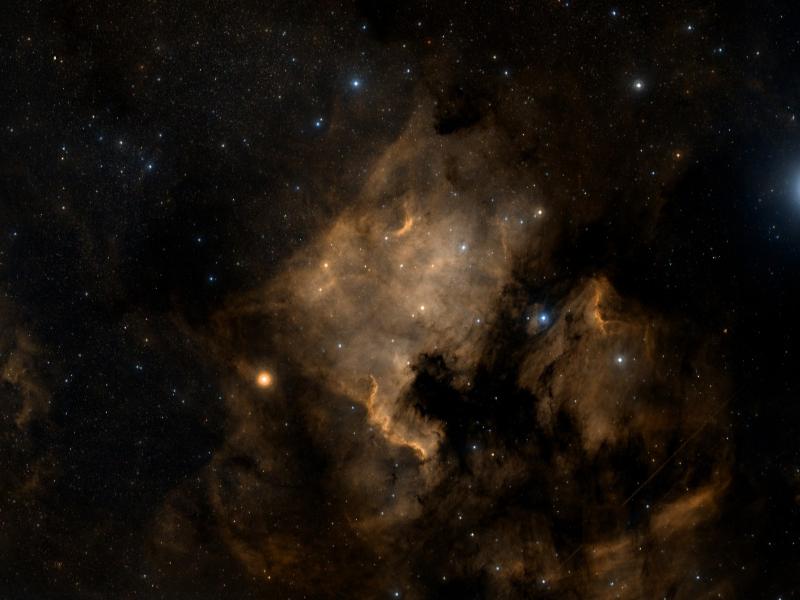 NGC 7000