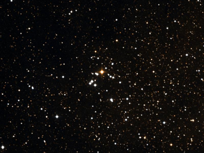 NGC 7031