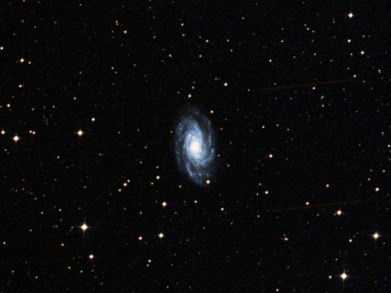 NGC 7083