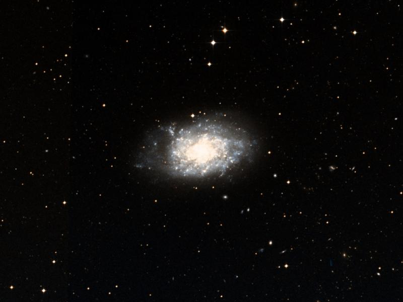 NGC 7793