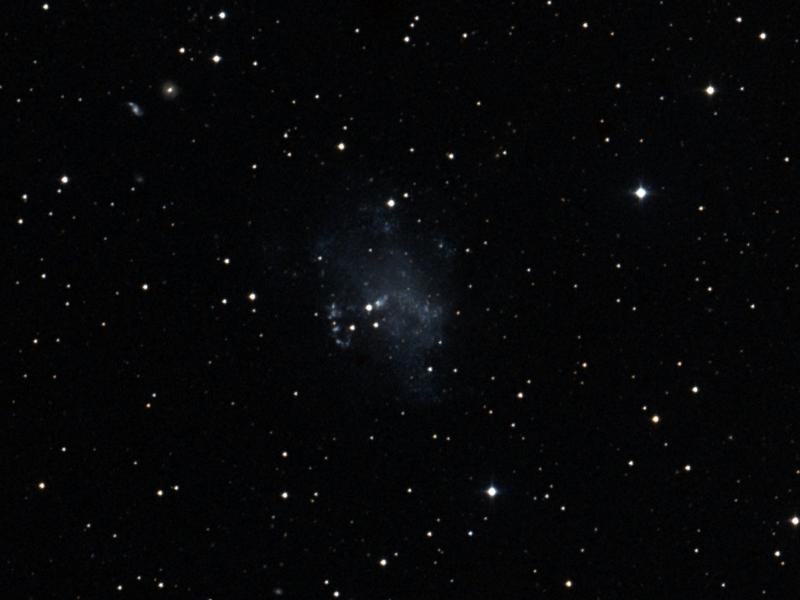 UGC 4305
