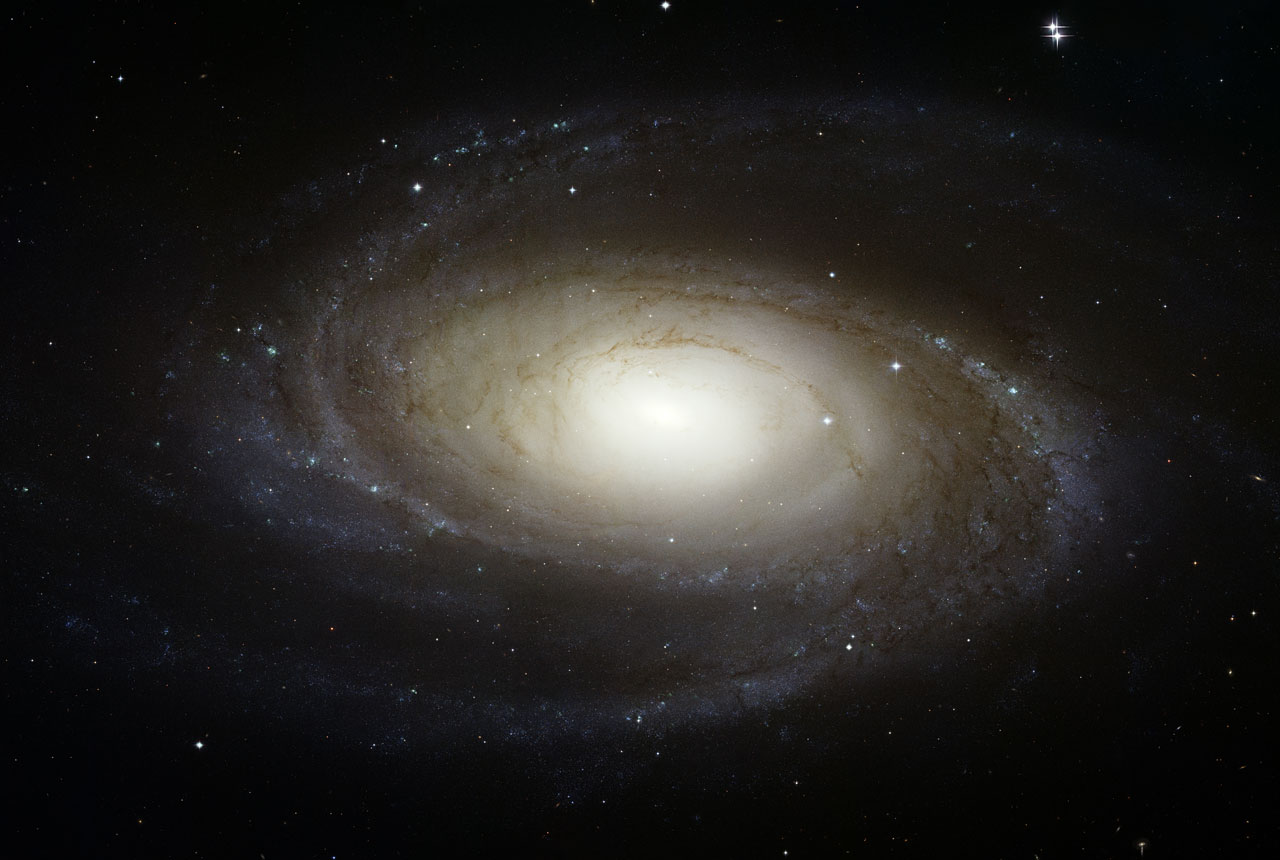 M 81